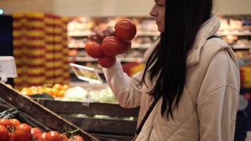 giovane donna accuratamente seleziona pomodori mentre Tenere ramo di pomodori nel sua mani, annusa pomodori per rendere sicuro essi siamo fresco dettagliato panoramica di selezione di pomodori concetto di eco cibo mercato video