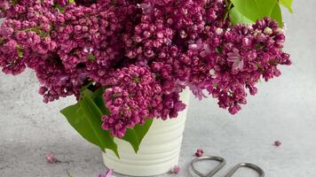 Bunch of spring lilac purple flowers in a vase video