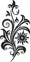 Ornate Flourish Black Emblem Artisanal Beauty Vintage Filigree vector