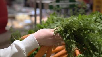 vrouw voorzichtig selecteert wortel, Holding wortel met Groenen in haar hand, maken gezond keuzes met wortel Bij de markt. markeren versheid en biologisch produceren selectie ecologisch voedsel concept video