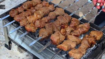 gemarineerd spiesjes zijn bereid Aan een barbecue rooster over- houtskool. shish kebab of shish kebab is populair in oostelijk Europa. shish kebab was oorspronkelijk gemaakt van schapenvlees. bbq gegrild rundvlees kebab. video