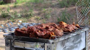 gemarineerd spiesjes zijn bereid Aan een barbecue rooster over- houtskool. shish kebab of shish kebab is populair in oostelijk Europa. shish kebab was oorspronkelijk gemaakt van schapenvlees. bbq gegrild rundvlees kebab. video