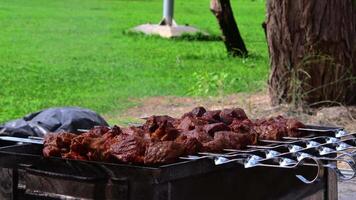 gemarineerd spiesjes zijn bereid Aan een barbecue rooster over- houtskool. shish kebab of shish kebab is populair in oostelijk Europa. shish kebab was oorspronkelijk gemaakt van schapenvlees. bbq gegrild rundvlees kebab. video