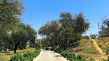 blauw lucht en park in zomer. hoog kwaliteit 4k beeldmateriaal video