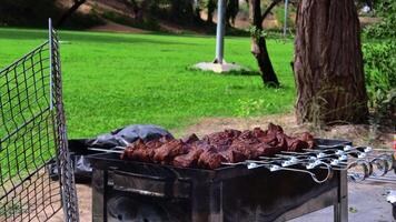 marinado espetos estão preparado em uma churrasco grade sobre carvão. shish Kebab ou shish Kebab é popular dentro Oriental Europa. shish Kebab estava originalmente fez a partir de Carneiro. churrasco grelhado carne Kebab. video