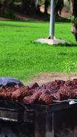 mariné brochettes sont préparé sur une barbecue gril plus de charbon. shish kebab ou shish kebab est populaire dans est L'Europe . shish kebab a été à l'origine fabriqué de viande de mouton. un barbecue grillé du boeuf kebab. video