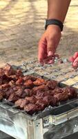 interrogatorio intenso shashlik brocheta en parilla parrilla al aire libre. preparando jugoso carne brocheta en brocheta en fumar. barbacoa parrilla al aire libre. picnic tiempo. alto calidad 4k imágenes video