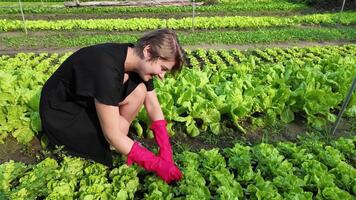 jovem mulher dentro casual roupas e Rosa luvas cuidando para uma exuberante vegetal jardim, representando orgânico agricultura e sustentável vivo conceitos, adequado para terra dia promoções video