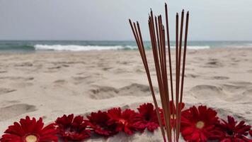 Incense sticks and vibrant red gerbera daisies arranged on a sandy beach with waves in the background, symbolizing relaxation and spiritual rituals video