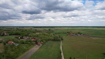 aéreo Visão do uma tranquilo rural panorama com espalhados casas, exuberante verde Campos, e a nublado céu, ideal para temas do agricultura e campo vivo video