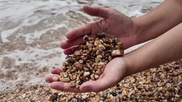 persoon Holding een verscheidenheid van klein steentjes Bij de strand, symboliseert aarde dag en natuur behoud, met potentieel gebruik voor milieu bewustzijn campagnes video