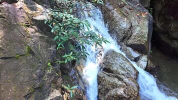 cascading vattenfall över oländig stenar med grön lövverk, idealisk för miljö- teman, natur bevarande, och värld vatten dag begrepp video
