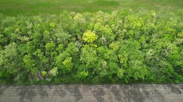 Aerial view of a green forest canopy bordering a gravel road, symbolizing eco tourism and Earth Day conservation efforts video