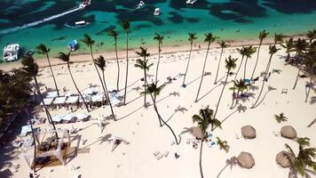 Antenne Aussicht von punta Kana, dominikanisch, Sie finden tropisch Strand mit Weiß Sand, umgeben durch luxuriös Erholungsort. Palme Bäume, funkelnd Karibik Meer und erfrischend Schwimmen Schwimmbad alle unter strahlend Sonne video