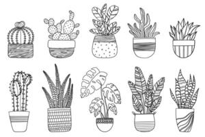 Hand drawn set of house plants in pots, Trendy outline doodle drawing of monstera, succulents, banana palm, cactus. Design element isolated vector