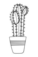 Indoor potted cactus plant drawing. Cute succulent for house garden. coloring page, outline illustration isolated. Doodle cacti Plant design element vector