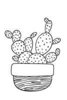 Indoor potted cactus plant drawing. Cute succulent for house garden. coloring page outline illustration isolated. Doodle cacti Plant design element vector