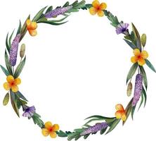 Round frame. A wreath of wild meadow flowers. cornflowers and he vector