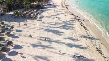 uma olho do pássaro Visão revela beijado pelo pôr do sol praia, completo com Sol espreguiçadeiras, guarda-chuvas, e Palma árvores, Onde turistas estão desfrutando seus tropical fuga em a ilha dentro dominicano da república punta cana video