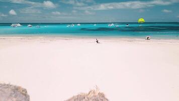 magnifique paille parapluies pointillage une Caraïbes plage avec parfait blanc sables, où une recours est niché une façon sur le rivages de le Caraïbes mer dans le dominicain république video