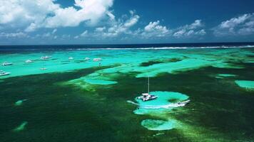 de hisnande antenn perspektiv av de karibiska korall rev ställer ut video