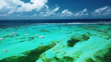de adembenemend antenne perspectief van de caraïben koraal rif vitrines video