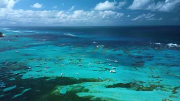 das atemberaubend Vogelaugen Aussicht von Karibik Koralle Riff Anzeigen es ist lebendig Schatten video