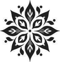 Ornate Flourishes Black Ornament Exquisite Detailing Decorative vector