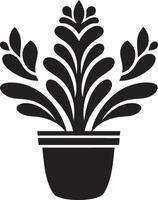 Spiny Oasis Black ic Cactus Cactus Bloom Black Plant Scene vector