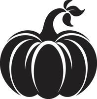 Jack O Black of Pumpkin in Spooky Symmetry ic Black Pumpkin in vector