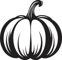 Spooky Symmetry ic Black Pumpkin in Ghostly Gourd Elegant of Black Pumpkin vector