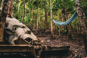 Hammock Haven in the Jungle photo
