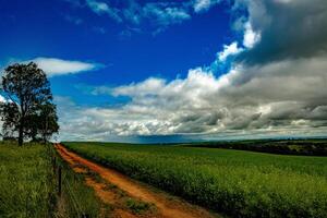 campo serenidad uno foto