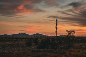 Silhouette of Antennas at Sunset photo