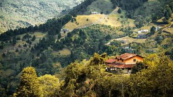 cima de la colina refugio uno foto