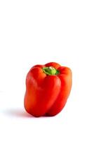 A vibrant red bell pepper sits on a clean white background. The pepper's glossy skin and bright color stand out, creating a striking contrast with the simple backdrop. photo
