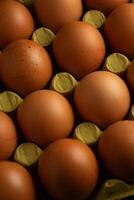 A neatly arranged row of brown chicken eggs in a cardboard carton. The eggs are evenly spaced, highlighting their uniformity. The soft light casts gentle shadows, creating a warm, inviting atmosphere. photo