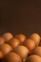 A neatly arranged row of brown chicken eggs in a cardboard carton. The eggs are evenly spaced, highlighting their uniformity. The soft light casts gentle shadows, creating a warm, inviting atmosphere. photo