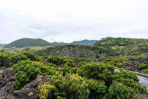 Lush greenery blankets the landscape of Terceira Island, Azores, framed by majestic mountains. photo