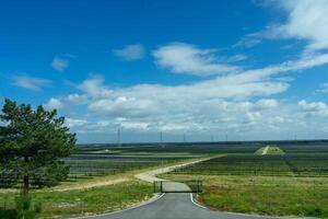 Solar panels gleam under the sun on a rural estate, harnessing clean energy amidst serene countryside. photo