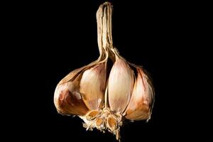 A close-up of a garlic head split in half, displaying the interior cloves' structure and texture. The white and creamy hues stand out against a deep black background, adding depth and contrast. photo