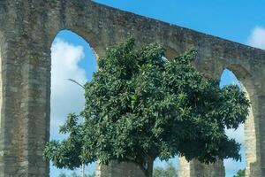 Lush tree canopy frames aqueduct in scenic harmony. photo