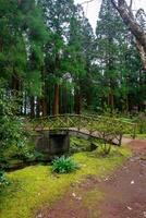 A peaceful stream flowing beneath a rustic wooden bridge amid trees in a picnic park on Terceira Island, Azores. photo