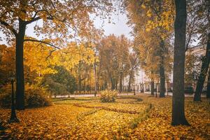 dorado otoño en un ciudad parque con arboles y caído hojas en un nublado día. Clásico película estético. foto