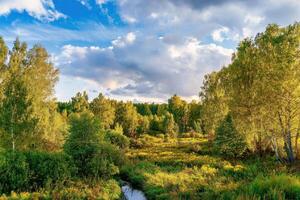 Sunset on a field with grass, birches, other trees and dramatic cloudy sky background in autumn. photo