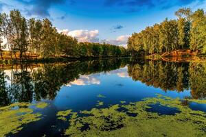 puesta de sol o amanecer en un estanque con abedul arboles a lo largo el bancos y un nublado cielo reflejado en el agua. foto