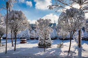 Sunset or dawn in a winter city park with trees covered with snow and ice. photo