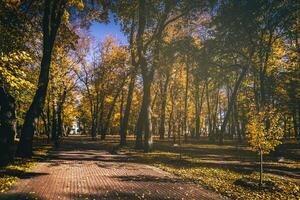 Leaf fall in the city park in golden autumn. Landscape with maples and other trees on a sunny day. Vintage film aesthetic. photo