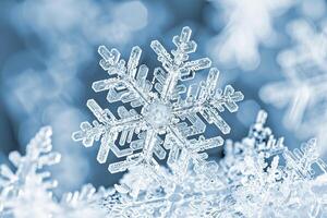 A snowflake under a microscope in the shape of a six-pointed star. photo