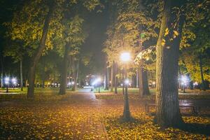 Night park in autumn with fallen yellow leaves.City night park in golden autumn with lanterns, fallen yellow leaves and maple trees. Vintage film aesthetic. photo